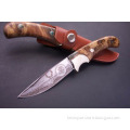 custom wildlife etch blade hunting knife w/brass bolster and wooden scales handle